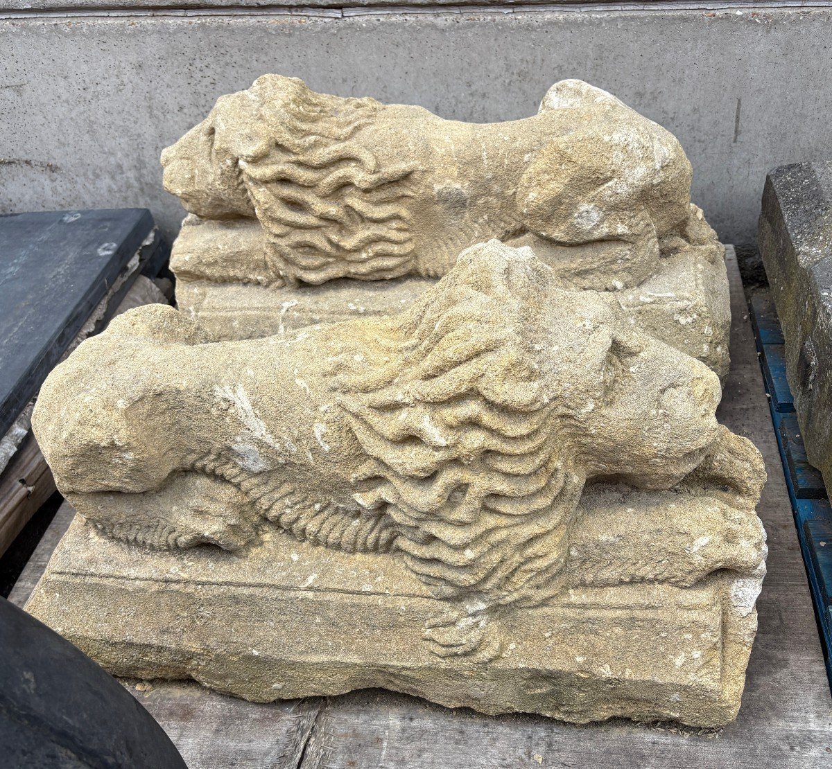 Paire de sculptures « lions couchés » en pierre de France du XVIIe siècle.-photo-8