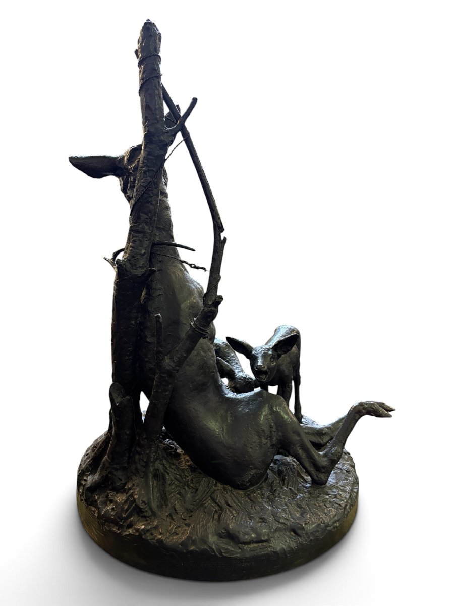 A Very Large ( 123 Cm ) 19th-century Bronze Sculpture Titled “a Doe Caught In A Snare.”-photo-7