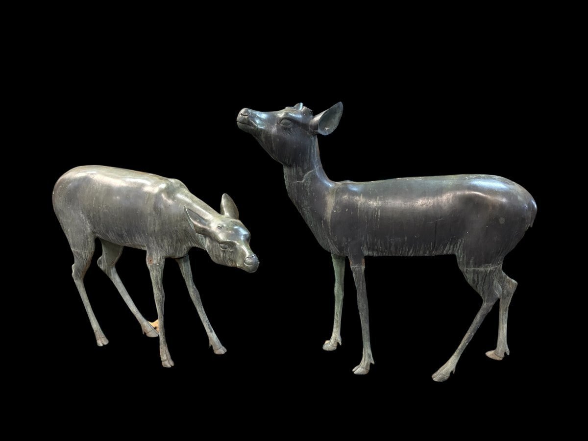 A Very Beautiful Pair Of 19th-century Bronze Stags.-photo-4