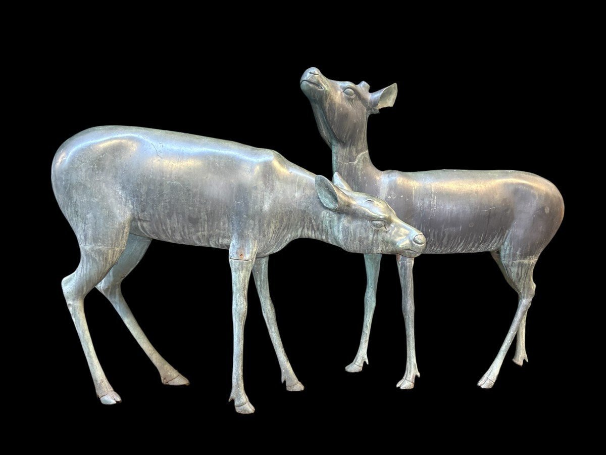 A Very Beautiful Pair Of 19th-century Bronze Stags.-photo-8
