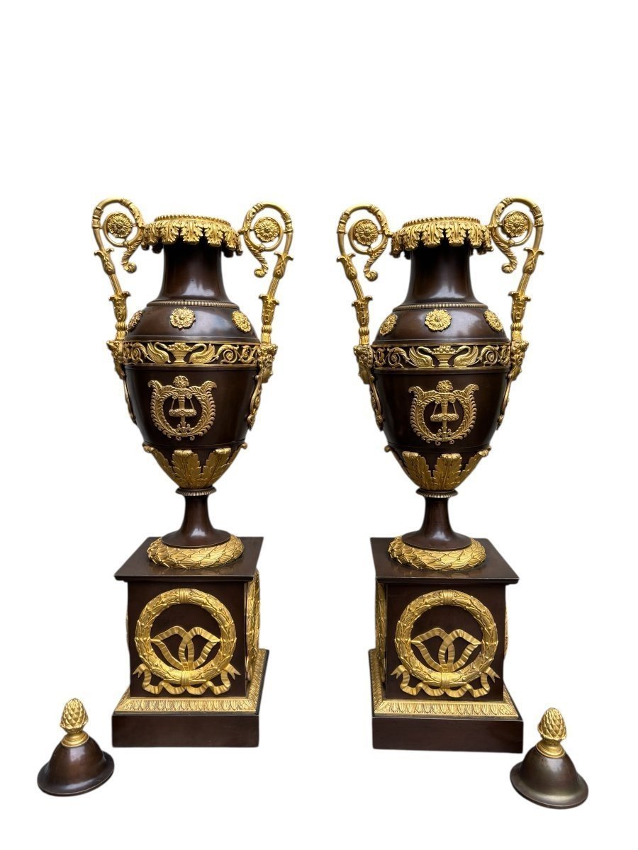 Pair Of Large Empire-style Casserole Dishes In Gilded/patinated Bronze, 19th Century.-photo-5