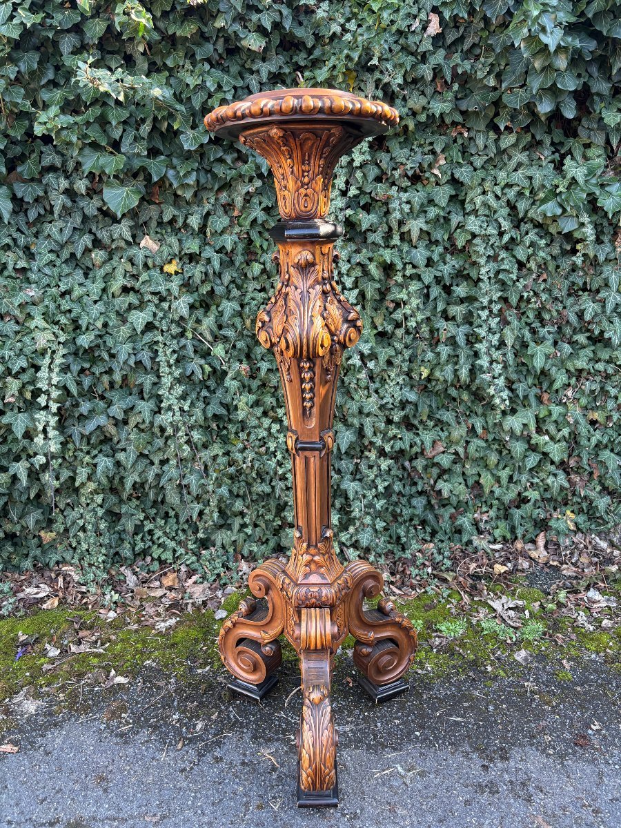 Large Regency-style Candelabra In Walnut, 19th Century-photo-6