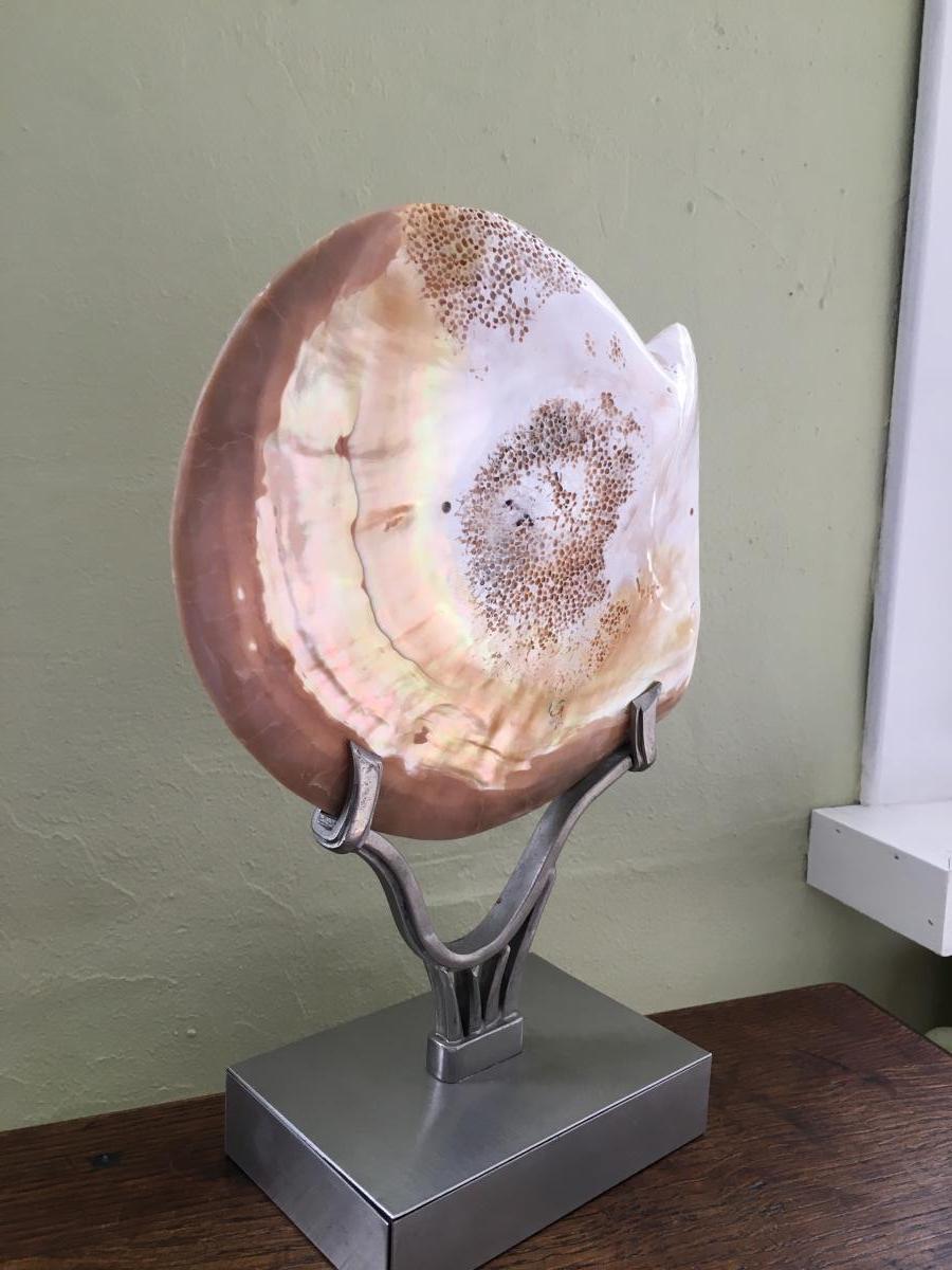 Large Mother Of Pearl Shell Mounted On A Beautiful Pedestal.-photo-4