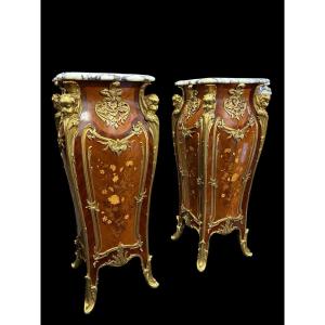 Pair Of Large Louis XV Style Marquetry/bronze Columns, 20th Century.