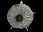 1799624-alb-6a64afb7dced1.jpg