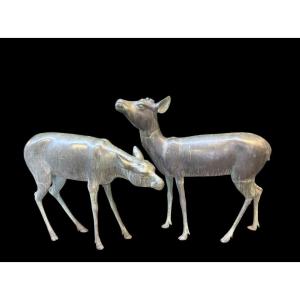 Très belle paire de cerfs en bronze du XIXe siècle.