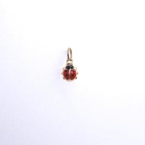 Ladybug