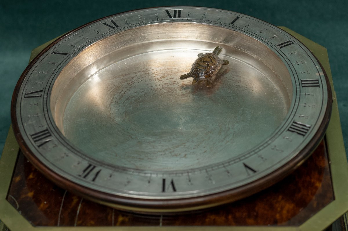 Tortue mystérieuse-photo-3