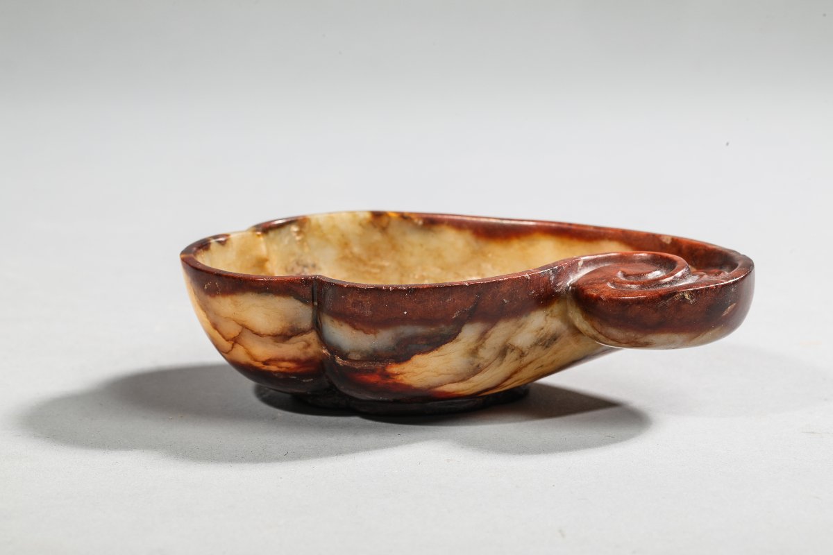 Coupe formant coquille trilobée -photo-2