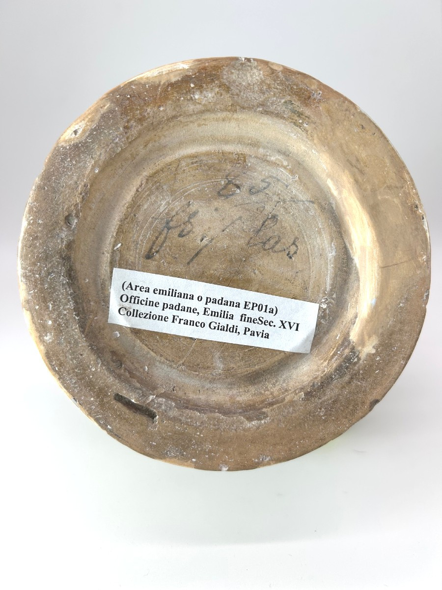 Faenza - Second Half Of The 16th Century - Pitcher With Raised Vegetal Decoration-photo-5