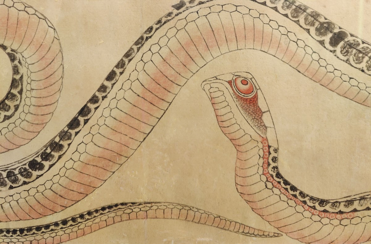 HOKUSAI - SERPENT - DESSIN XIXEME-photo-3