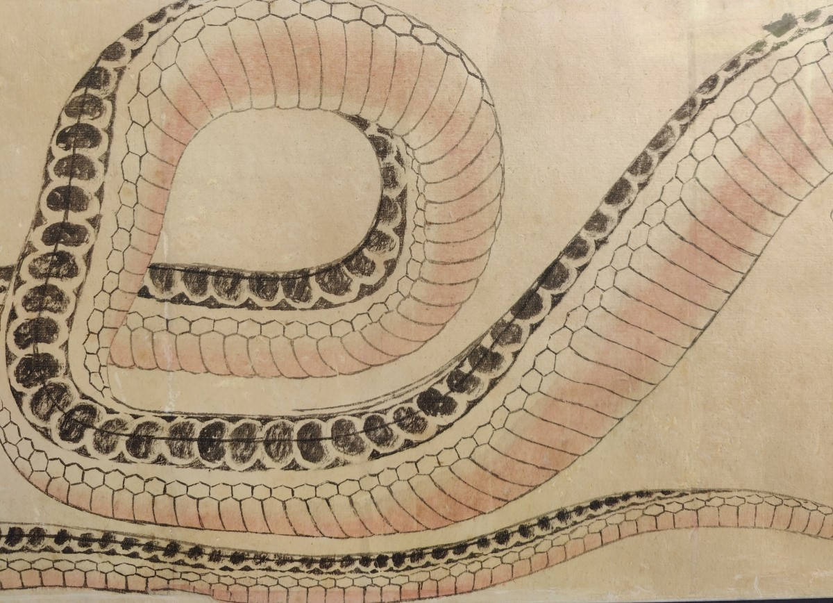 HOKUSAI - SERPENT - DESSIN XIXEME-photo-4