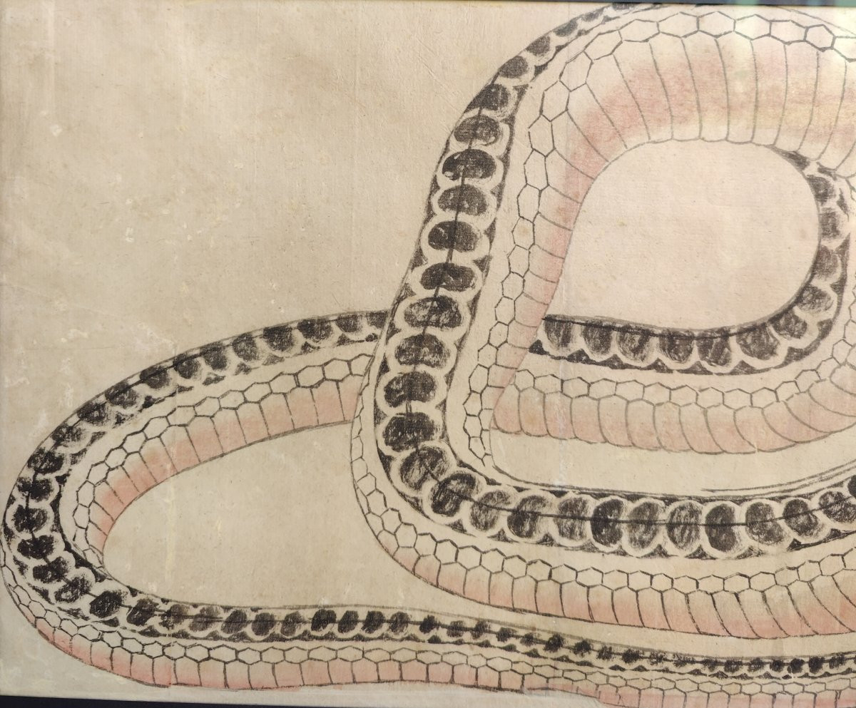 HOKUSAI - SERPENT - DESSIN XIXEME-photo-6