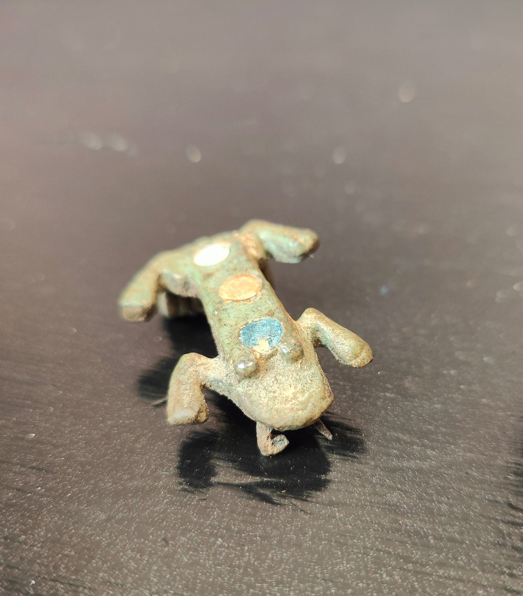 Fibula - Frog - 19th Century-photo-4