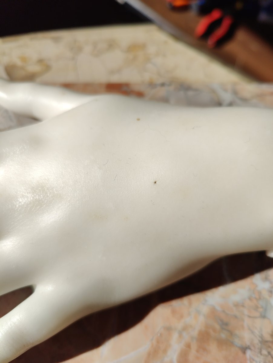 HIRAM POWERS - LOUISA POWERS' HAND (1855) - MARBLE -photo-7