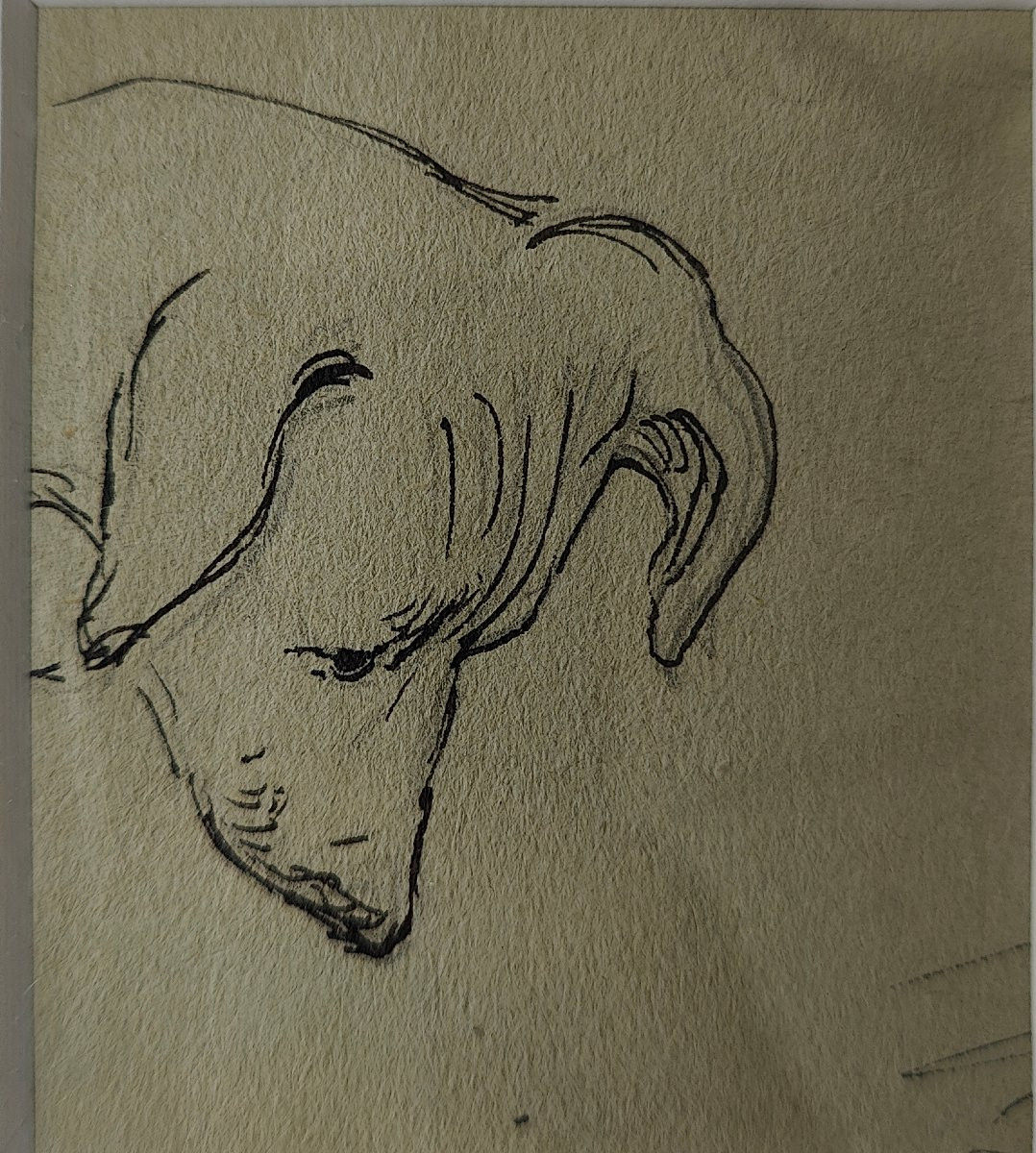 BENGT HEDBERG - CHIEN VALLA -photo-3