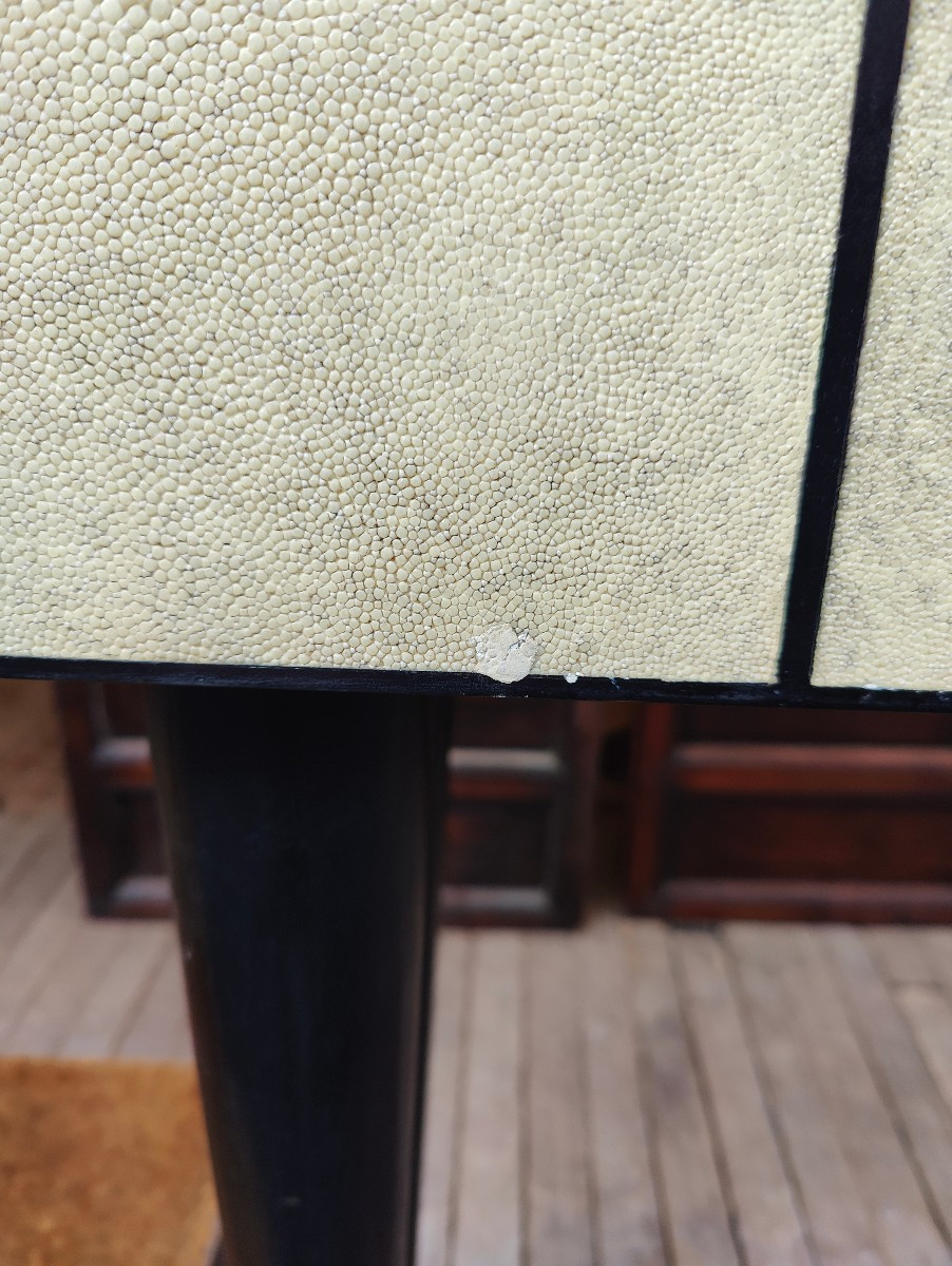 Augousti Shagreen Console -photo-6