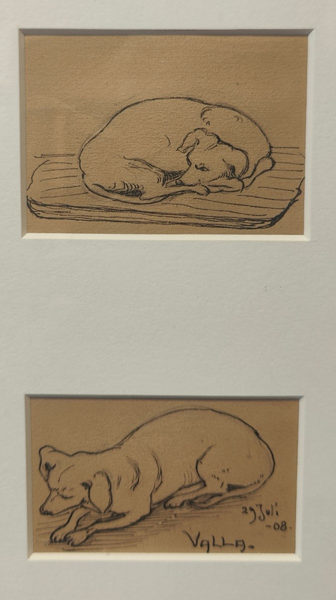 Bengt Hedberg - Valla Dog Portrait-photo-3