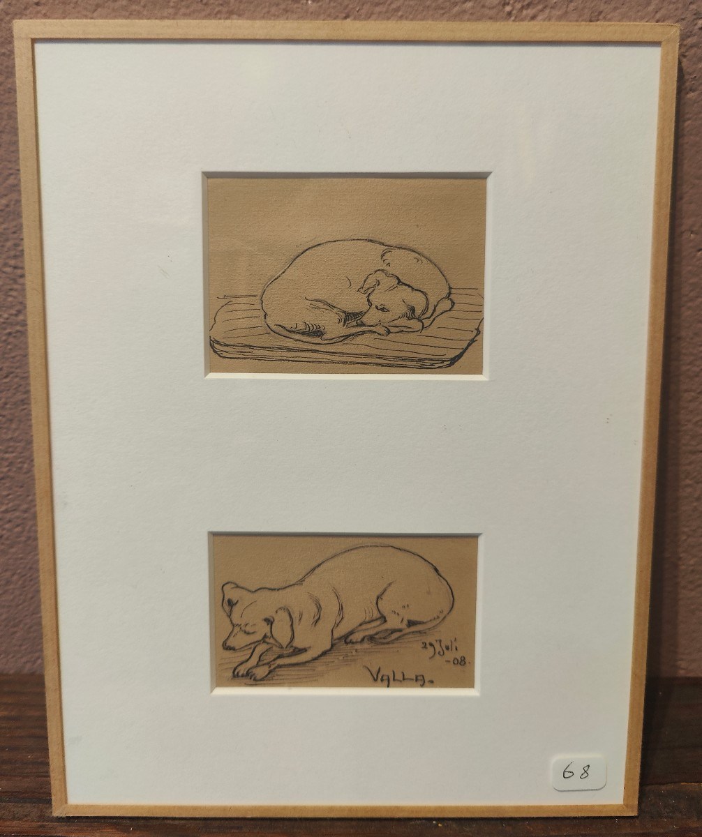 Bengt Hedberg - Valla Dog Portrait