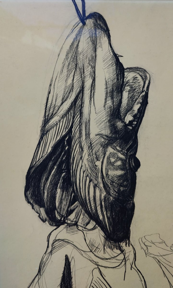 J. Zetterqvist (1958) - Pike Drawing-photo-4