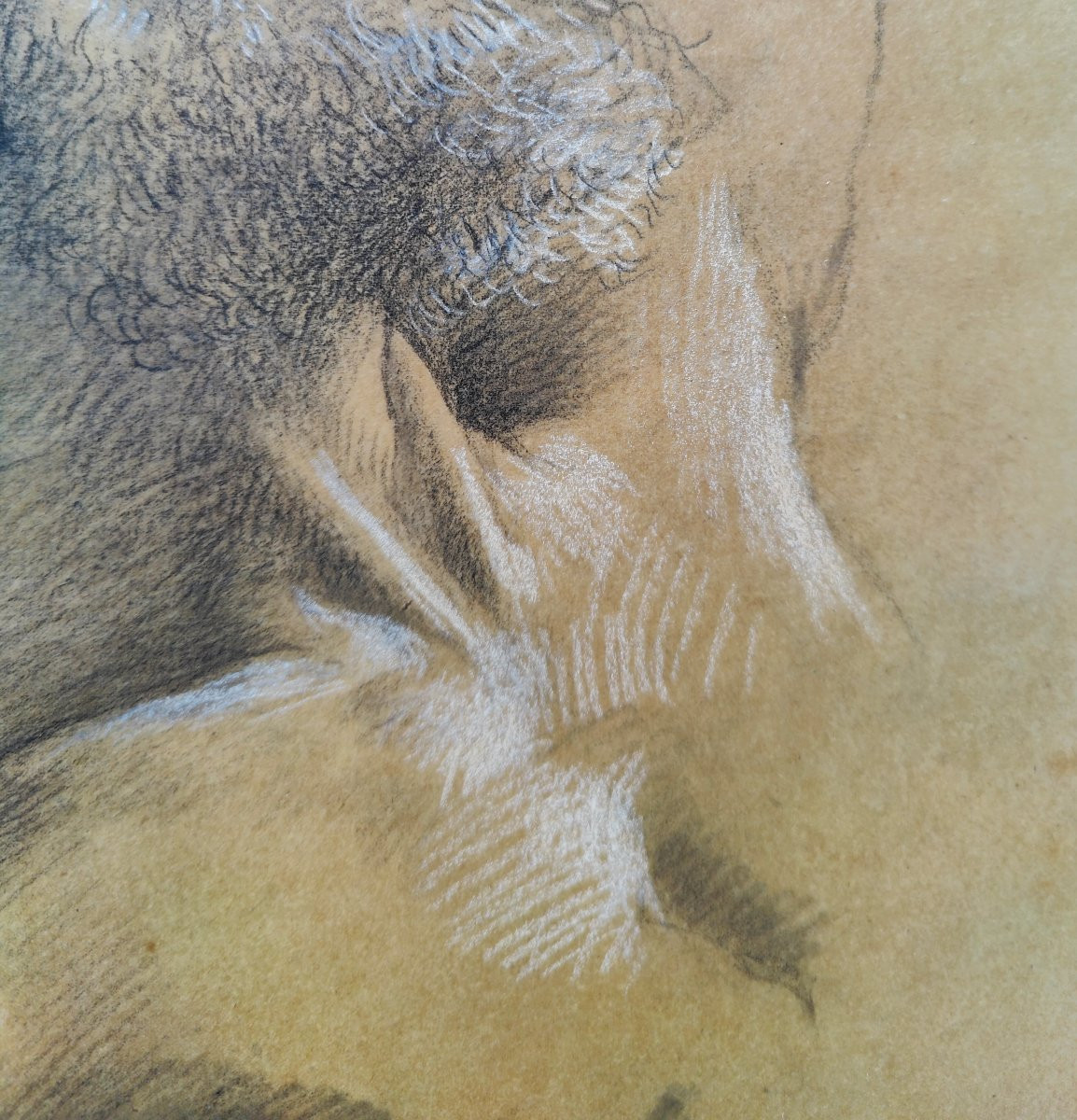 ATTR. HEIM 1820 - TETE D'HOMME -photo-3