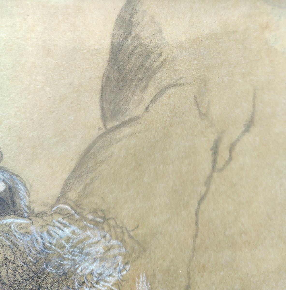 ATTR. HEIM 1820 - TETE D'HOMME -photo-4