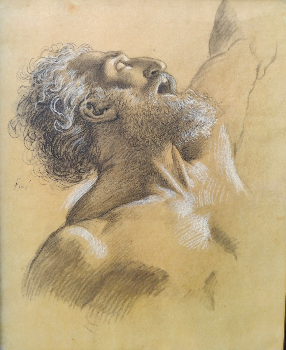 ATTR. HEIM 1820 - TETE D'HOMME 