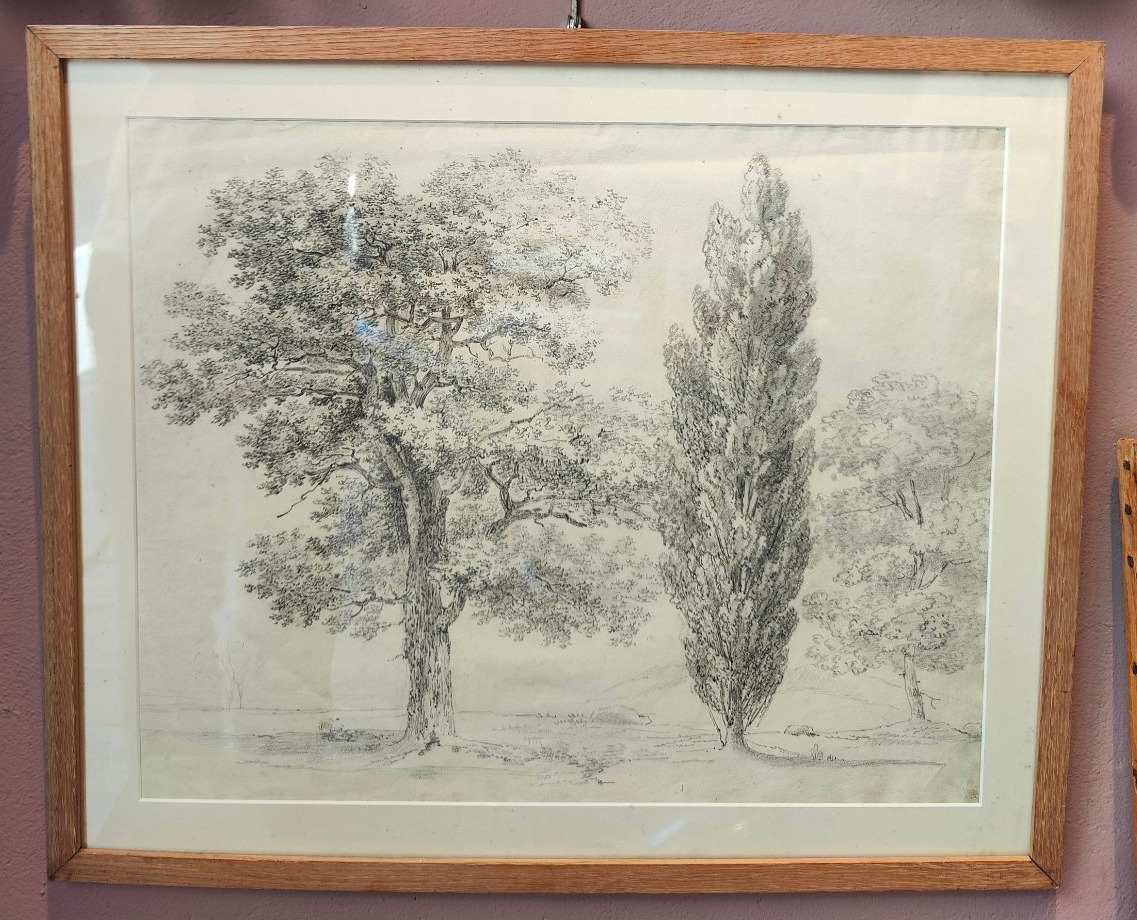 France 1824 - 3 Trees - Drawing-photo-2