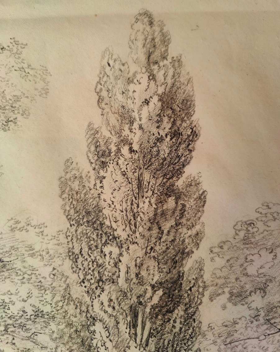 France 1824 - 3 Trees - Drawing-photo-3