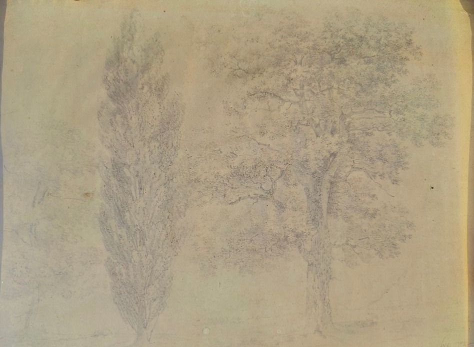 France 1824 - 3 Trees - Drawing-photo-1