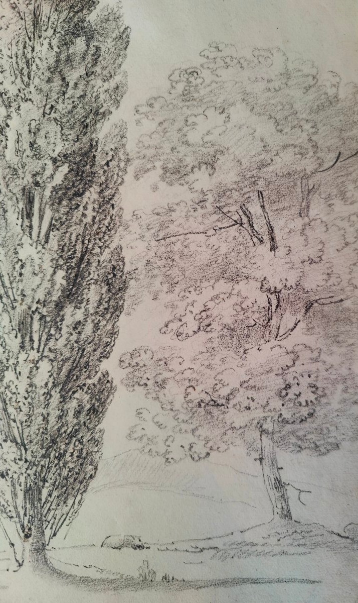 France 1824 - 3 Trees - Drawing-photo-2