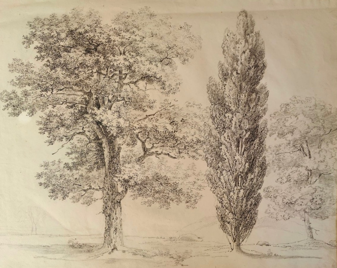 France 1824 - 3 Trees - Drawing