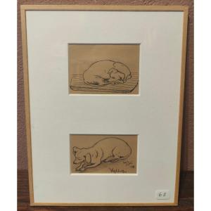 BENGT HEDBERG - PORTRAIT CHIEN VALLA