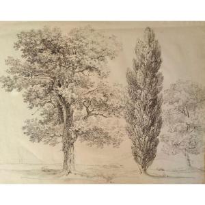 FRANCE 1824 - 3 ARBRES - DESSIN
