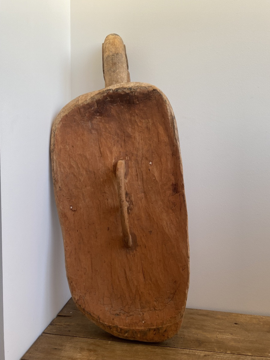 Asmat Shield, Irian Jaya, Papua New Guinea, Oceania-photo-1