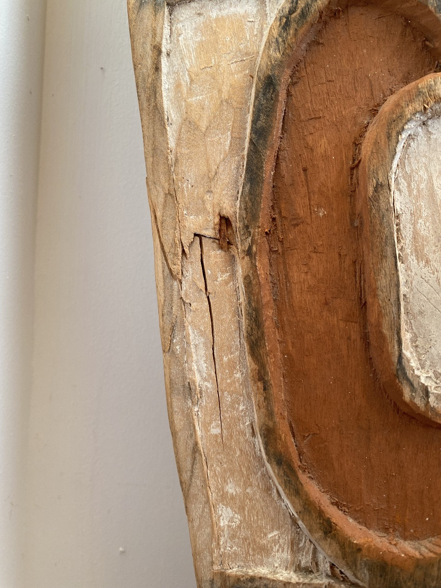 Asmat Shield, Irian Jaya, Papua New Guinea, Oceania-photo-3