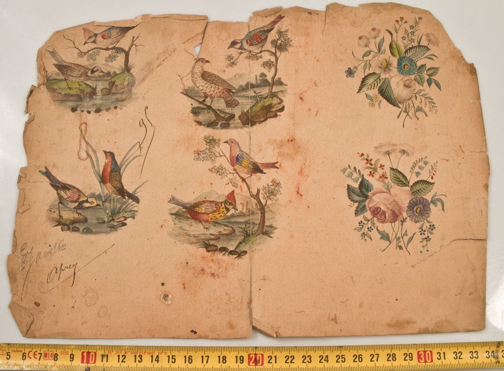 Set Of Watercolor Flowers And Birds-photo-3