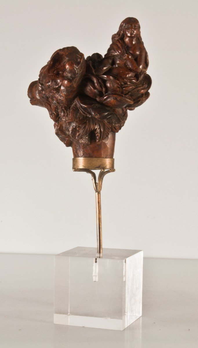 Pommeau De Canne En Bois De Sainte Lucie XVIIème