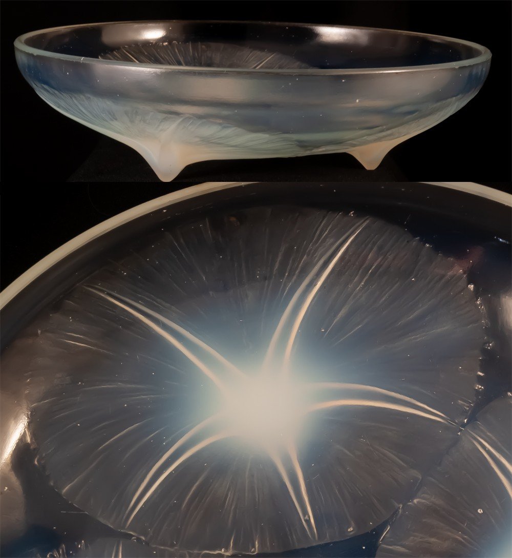 René Lalique Volubilis Coupe Verre Opalescent-photo-3