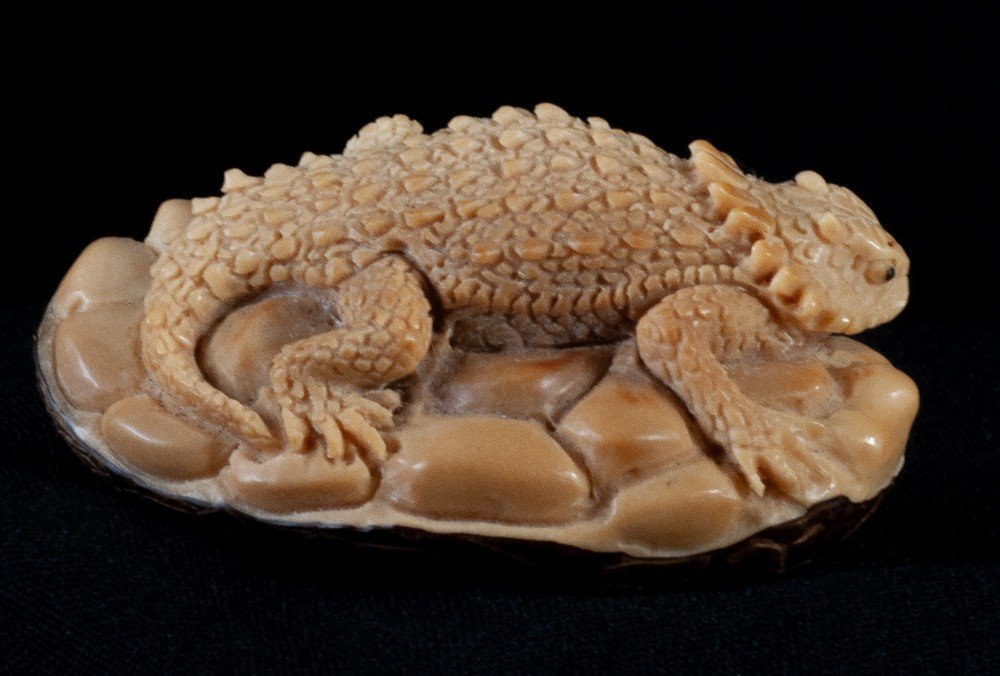 Lizard / Asian Iguana Monobloc Sculpture Tagua / Corozo Nut Japan-photo-2