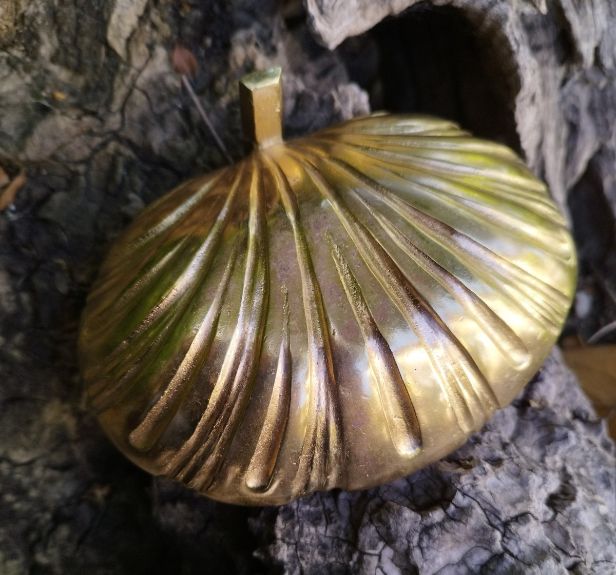 Porte savon coquillage en bronze-photo-1