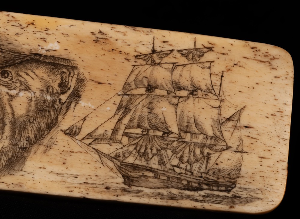Scrimshaw Sur Plaque En Os Signée-photo-4