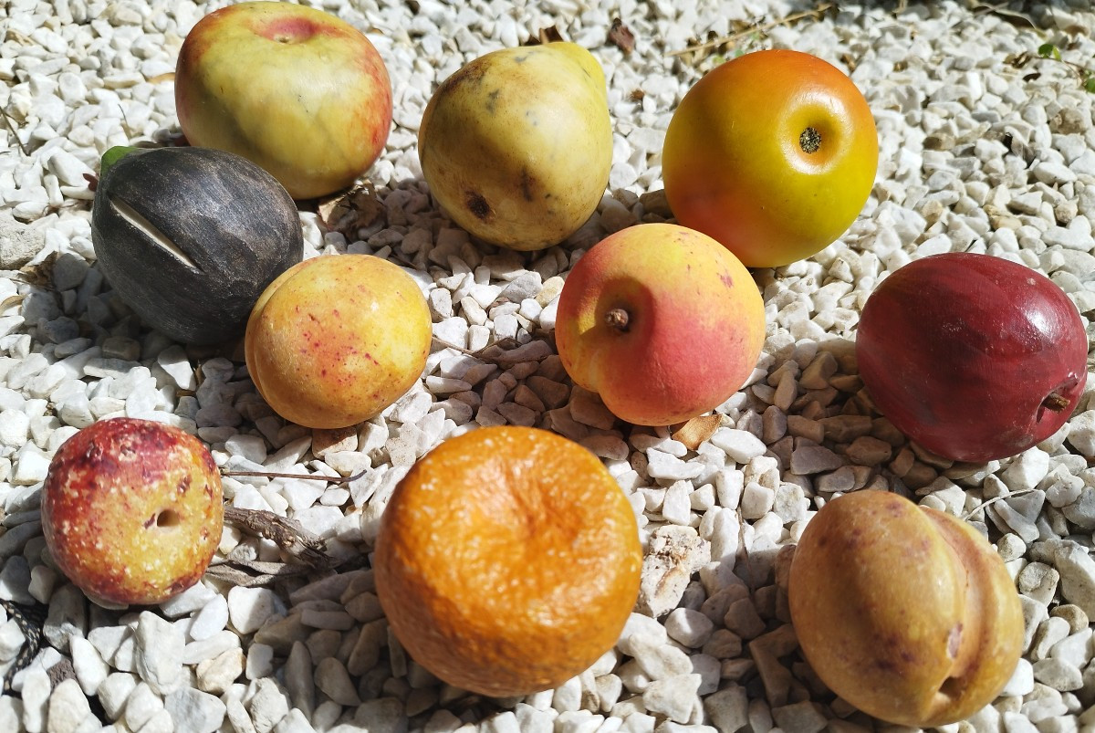 10 fruits en marbre-photo-2