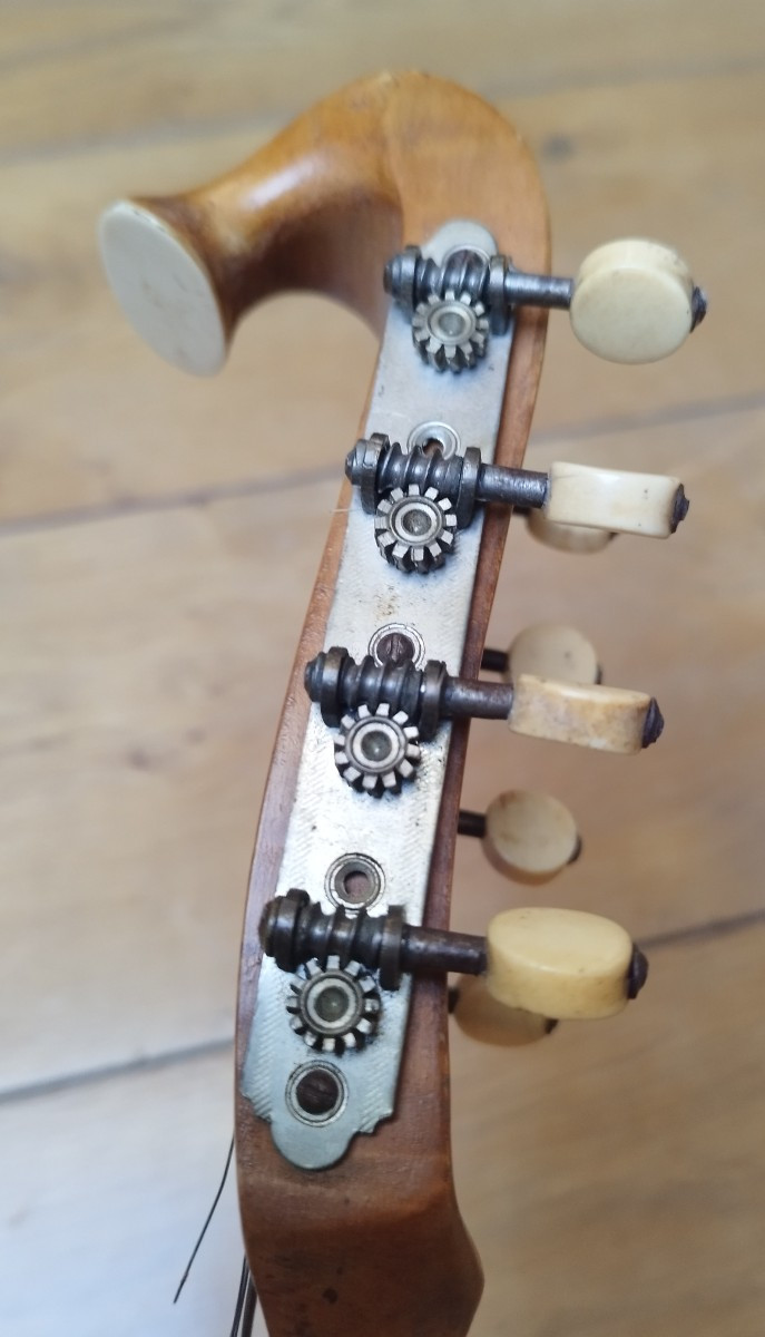 Banjo Mandolin-photo-4
