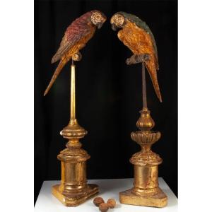 Pair Of Parrots In Polychrome Wood Venice 18th Century