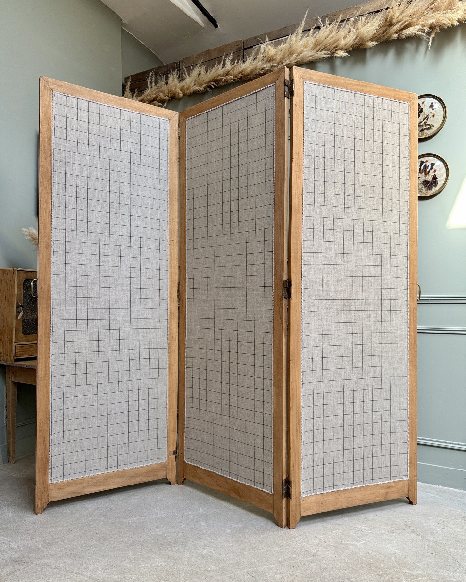 Large Renovated Old Screen -photo-2