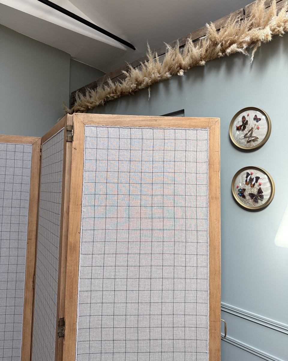 Large Renovated Old Screen -photo-4