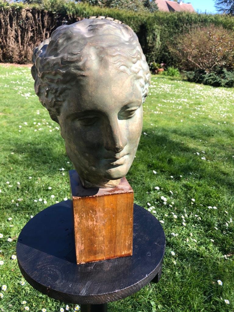 Patinated Plaster Sculpture