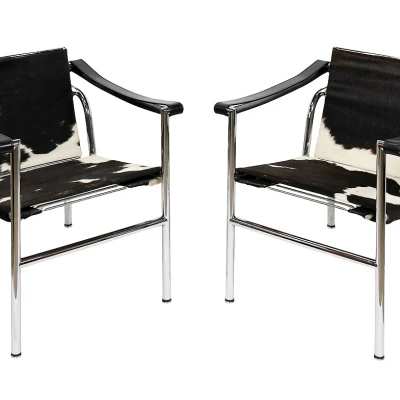 Premiere-Image-1740593