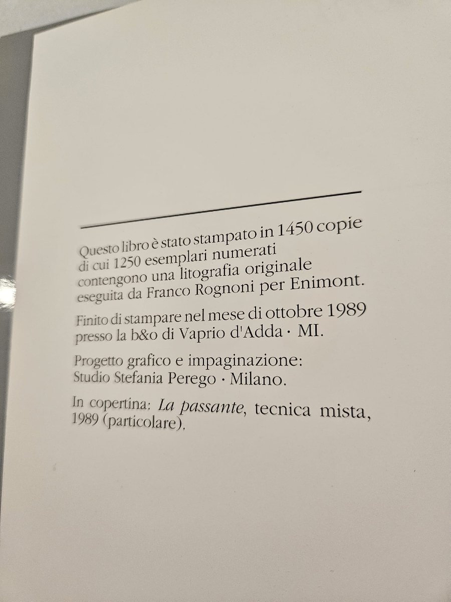 Catalogue d'art de l'artiste Franco Rognoni, publié par SpiraleArte-photo-3